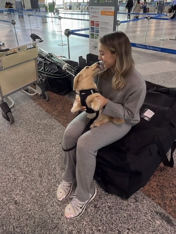 Cotufa Way client flying in cabin with their dog