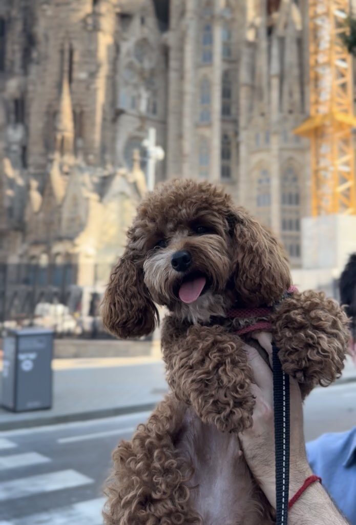 Cotufa out seeing the world with Gaby