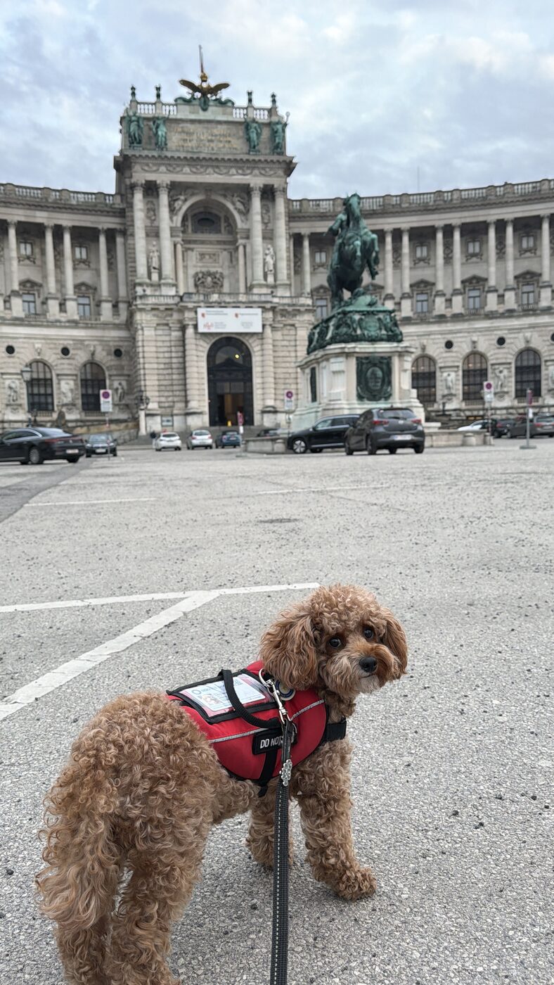 Cotufa traveling the world in cabin