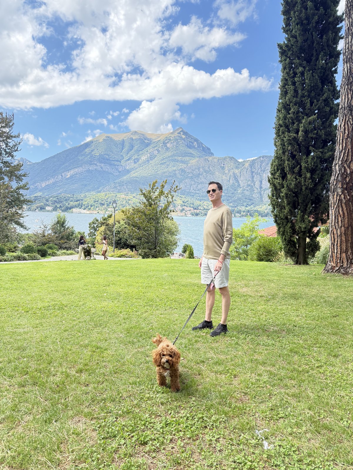 Cotufa at a mountain lake in Europe